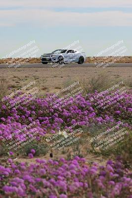 media/Jan-08-2023-SCCA SD (Sun) [[8f6a5b9391]]/Advanced Group/Session 2 (Short Straight)/